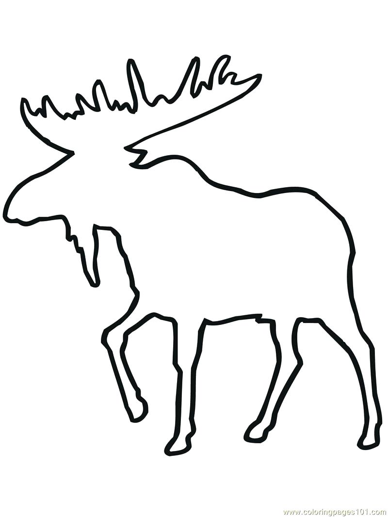 800x1066 Deer Outline Drawing - Deer Outline Drawing