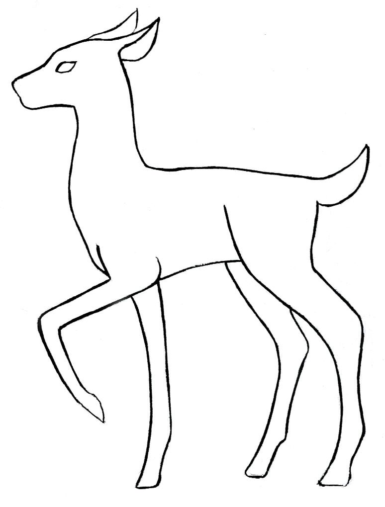 774x1020 Deer Base Outline - Deer Outline Drawing