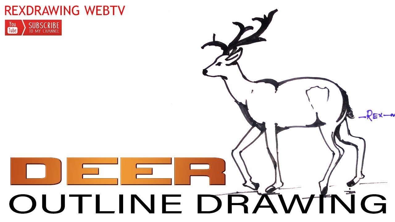 1280x720 How To Draw A Deer Outline Easy Step - Deer Outline Drawing