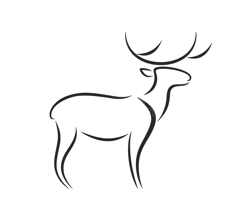 deer outline