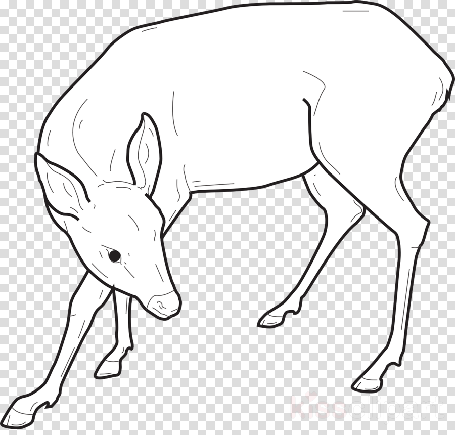 900x860 Deer, Reindeer, Drawing, Transparent Png Image Clipart Free Download - Deer Outline Drawing