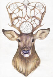 174x250 Deer Pencil Drawing - Deer Pencil Drawings