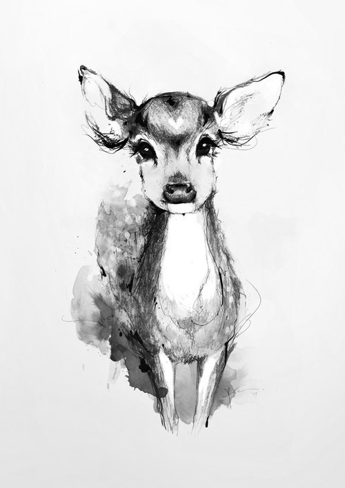 500x708 Deer Draw Via Tumblr On We Heart It - Deer Pictures Drawing