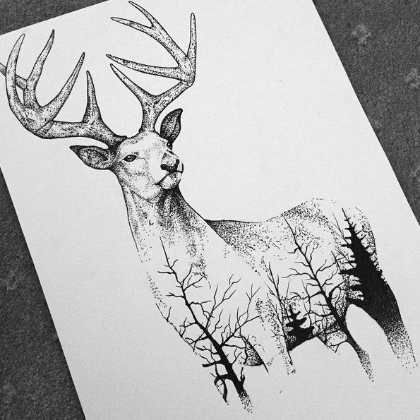 595x595 Deer Drawing Forest For Free Download - Deer Pictures Drawing