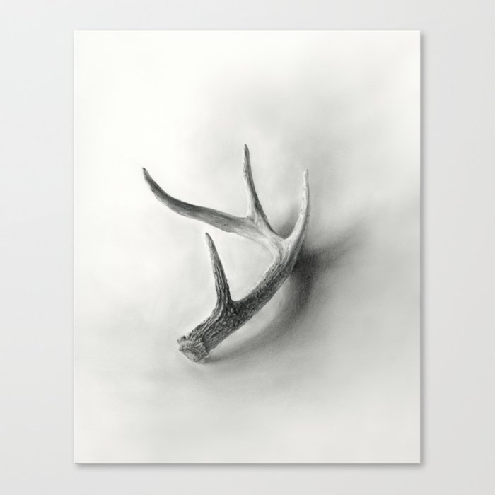 700x700 Lost And Found - Deer Pictures Drawing