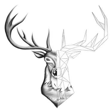375x375 Oh Deer Drawing - Deer Pictures Drawing