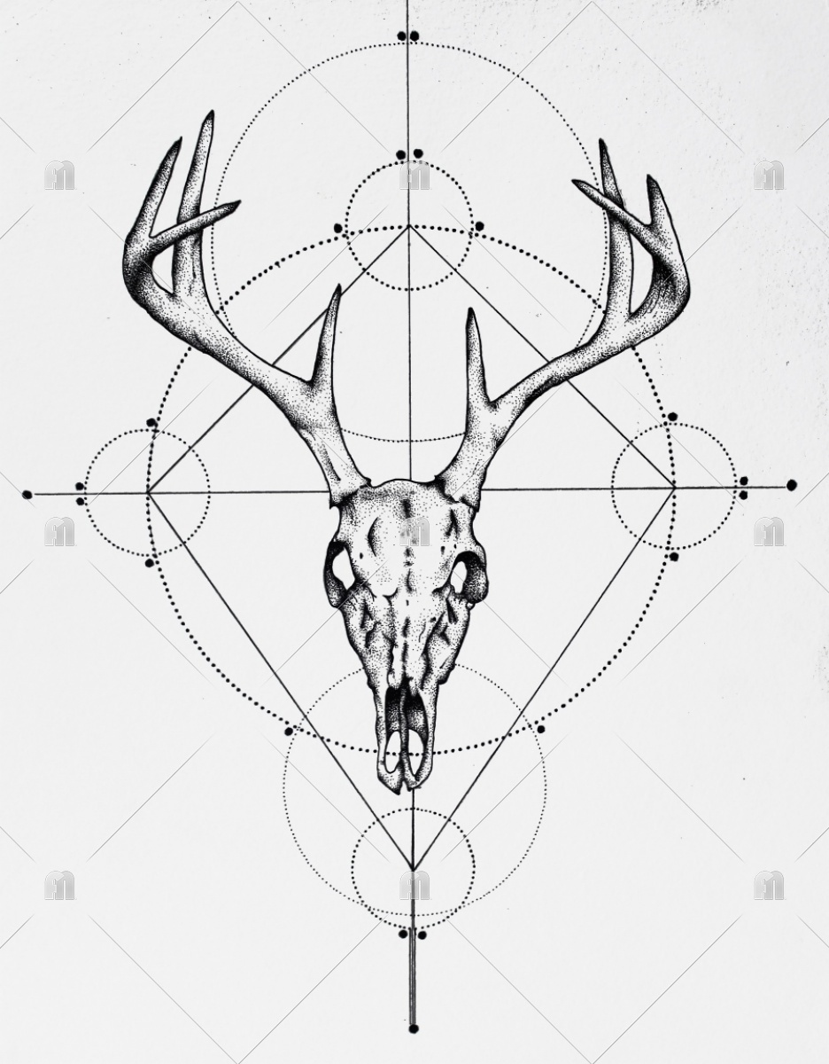 936x1200 deer skull drawing, deer, skull, drawing art print sunshineestes - Deer Pictures Drawing