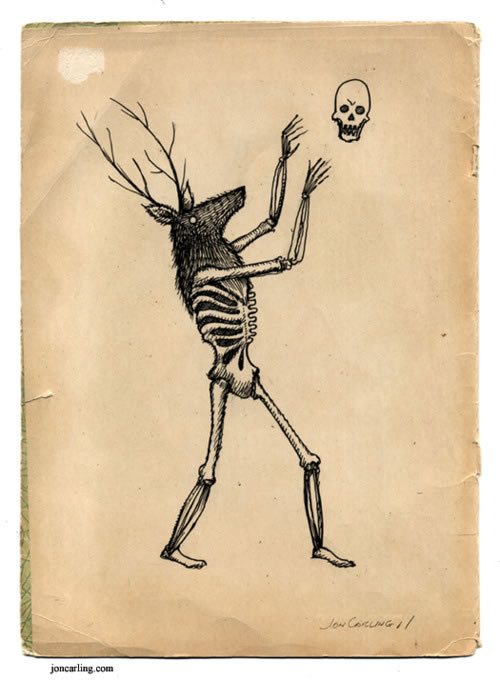 500x680 Deer Skeleton Jon Carling - Deer Skeleton Drawing