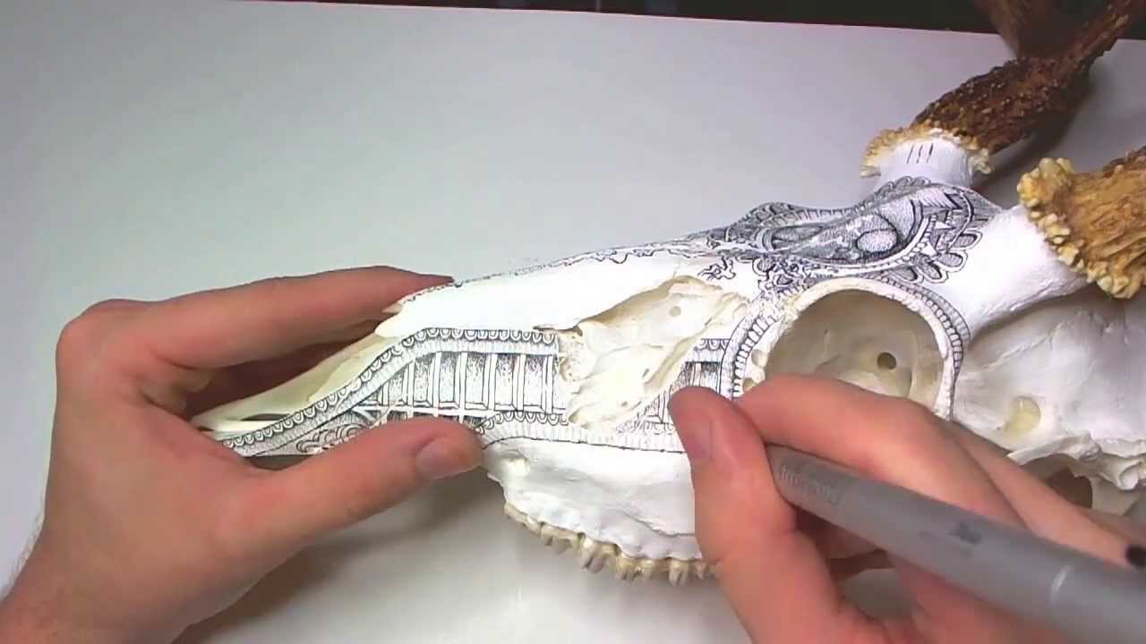 1280x720 Drawing On A Deer Skull - Deer Skeleton Drawing