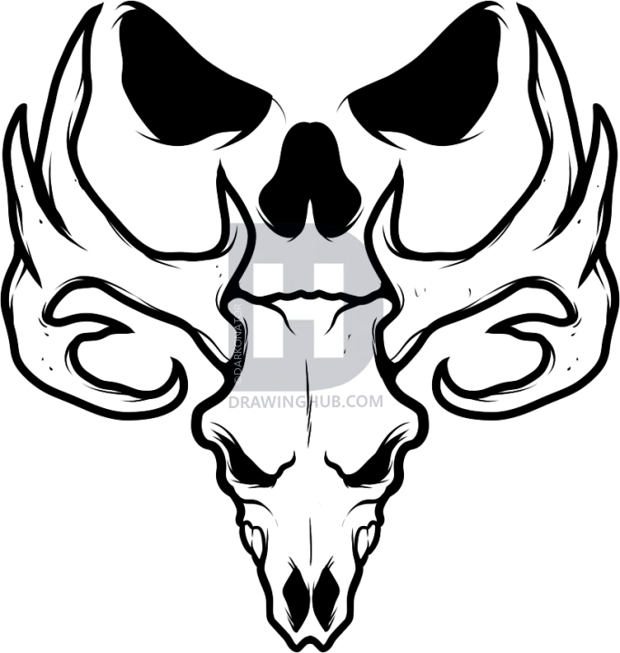 683x720 how to draw a deer skull, deer skull tattoo, step - Deer Skeleton Drawing