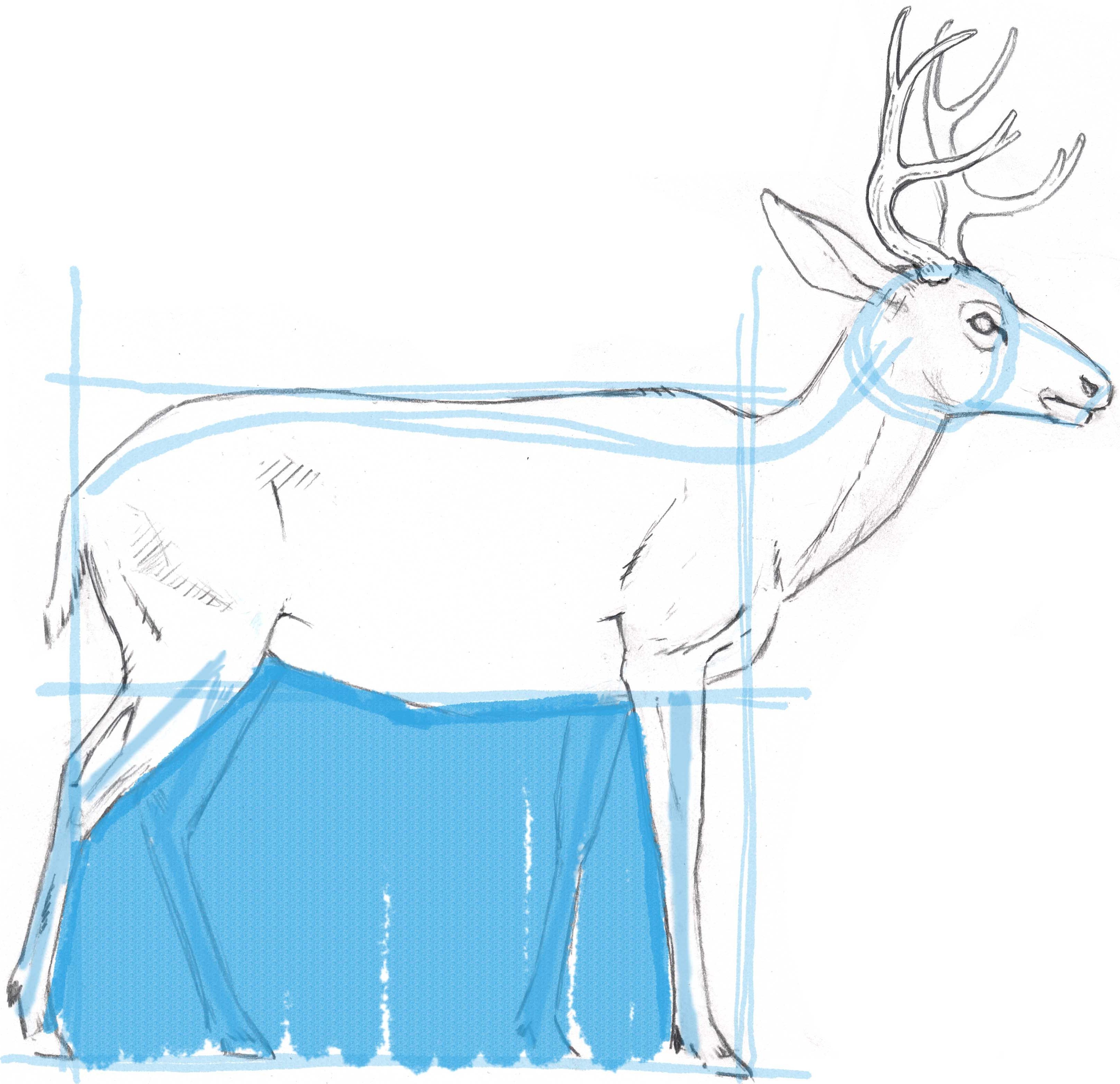 3251x3145 Mule Deer Skeleton - Deer Skeleton Drawing