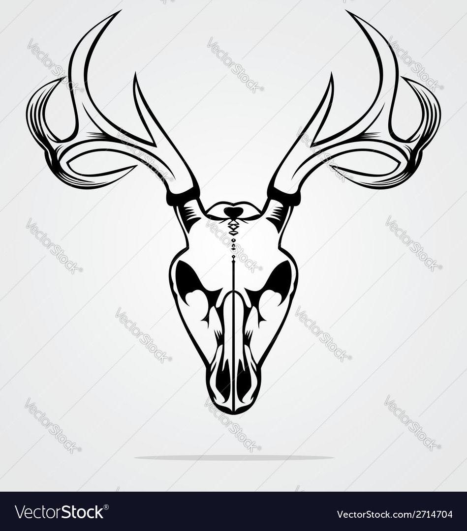 949x1080 Best Free Deer Skeleton Drawing Photos - Deer Skeleton Drawing