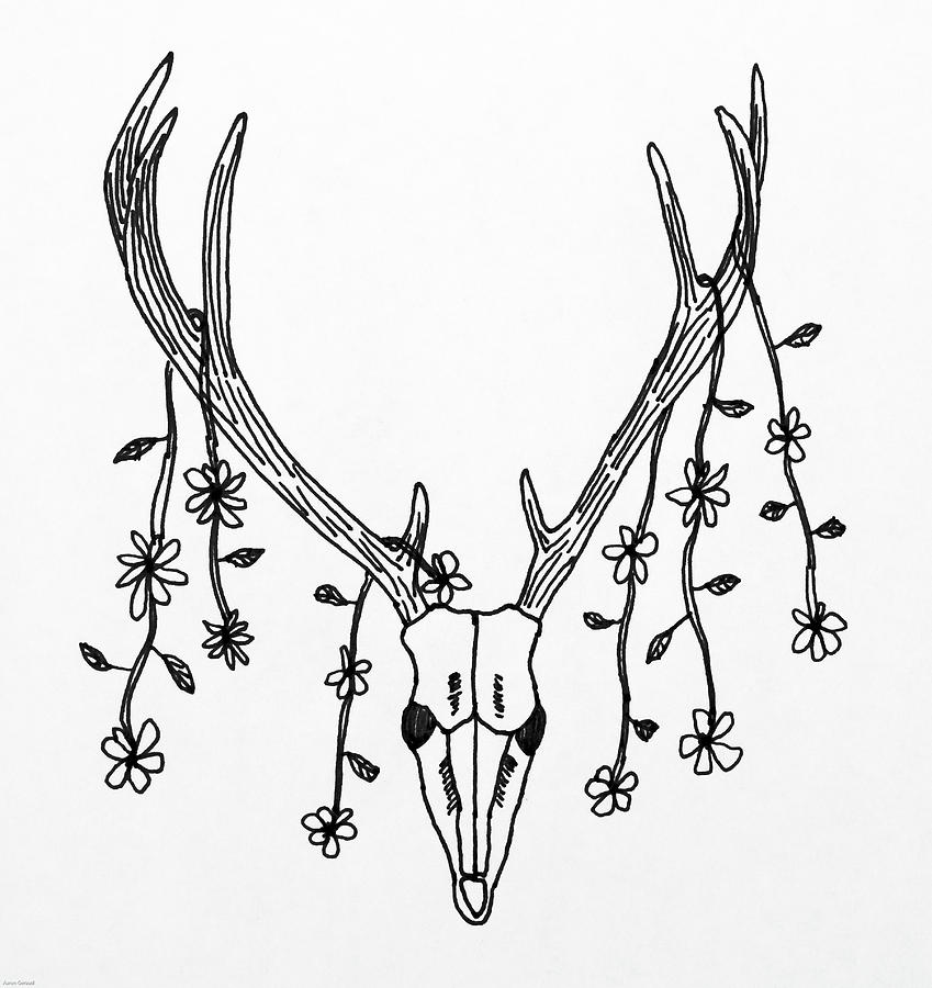 849x900 Deer Skull Drawing - Deer Skull Drawing