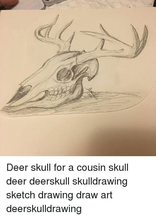 500x698 deer skull for a cousin skull deer deerskull skulldrawing sketch - Deer Skull Drawing