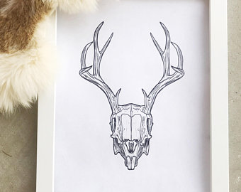 340x270 Deer Skull Drawing Etsy - Deer Skull Drawing