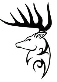 188x268 drawing a skull easy image result for deer skull drawing easy wood - Deer Skull Drawing