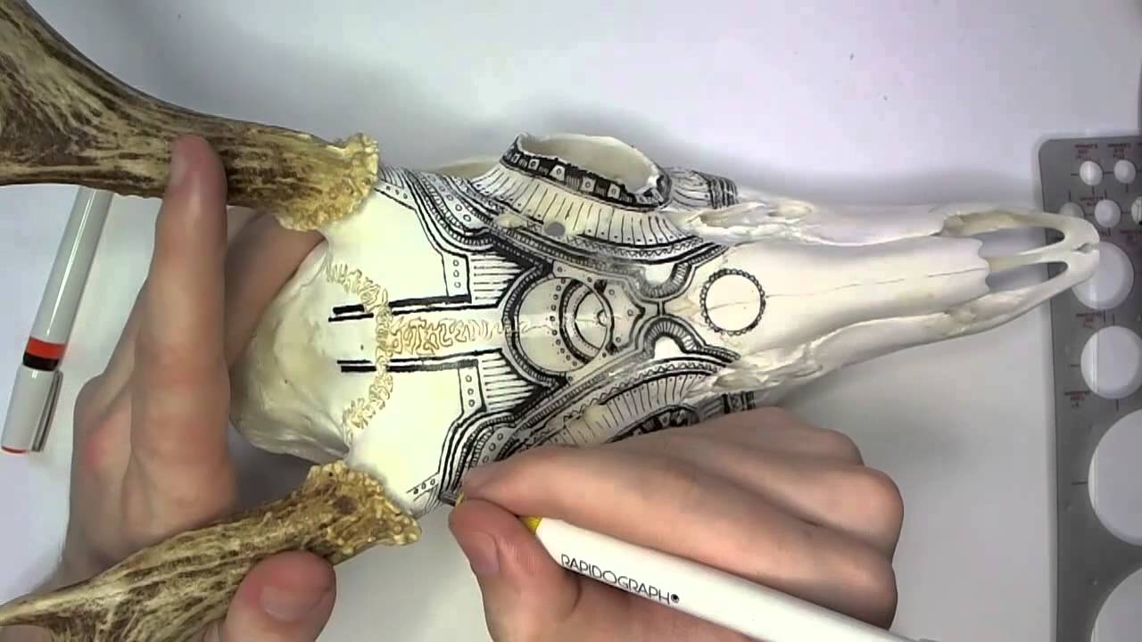 1280x720 Drawing On A Deer Skull - Deer Skull Drawing