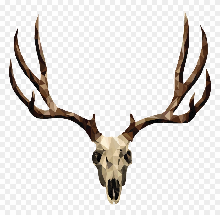 840x819 Mule Deer Skull Drawing - Deer Skull Drawing