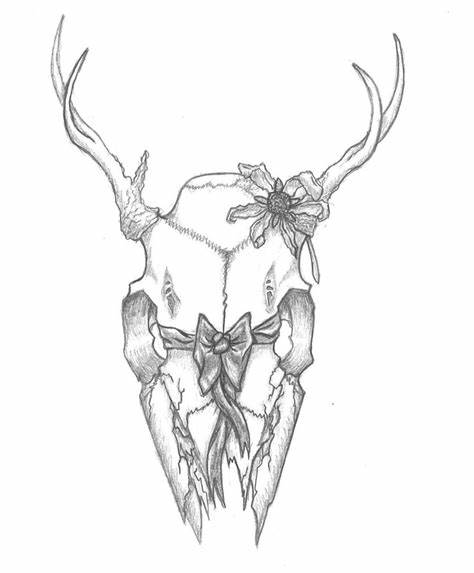 474x573 Deer Skull Drawing Easy Gtgt - Deer Skull Drawing Easy