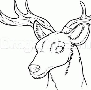 385x382 Deer Skull Drawing - Deer Skull Drawing Easy