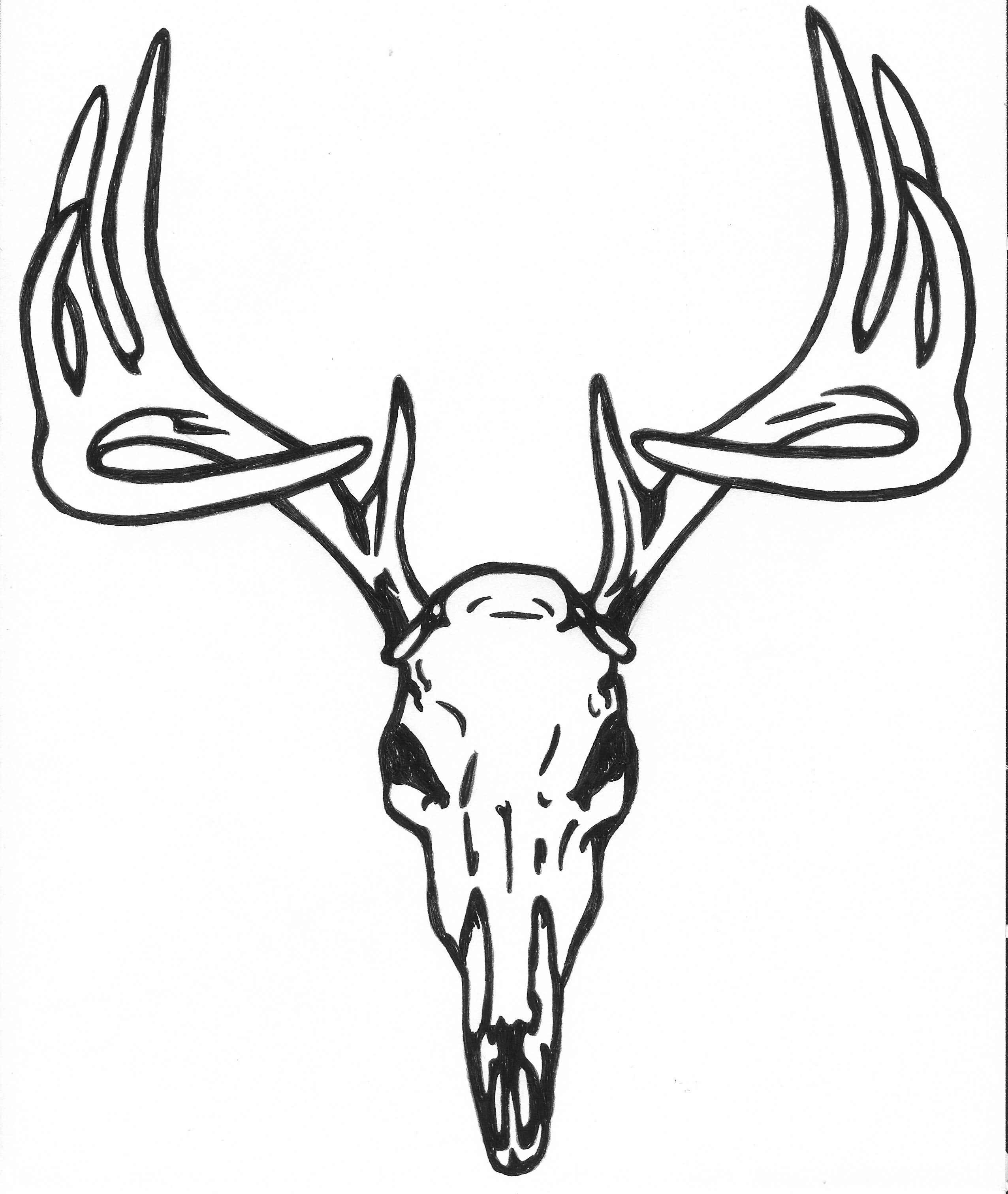 2552x3023 deer maybe add floral decorating my canvas deer skull - Deer Skull Drawing Easy
