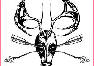 300x210 deer skull drawing deer skull drawing - Deer Skull Drawing Easy