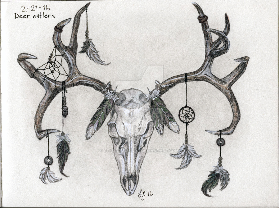 Deer With Antlers Drawing At Explore Collection Of