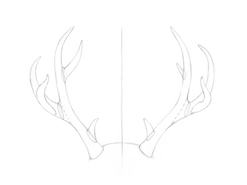 850x640 how to draw antlers step - Deer With Antlers Drawing