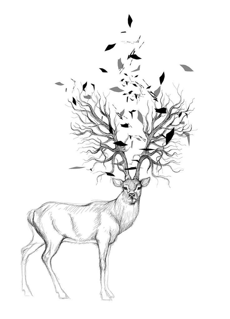 736x1019 Deer Drawing Hand For Free Download - Deer With Antlers Drawing