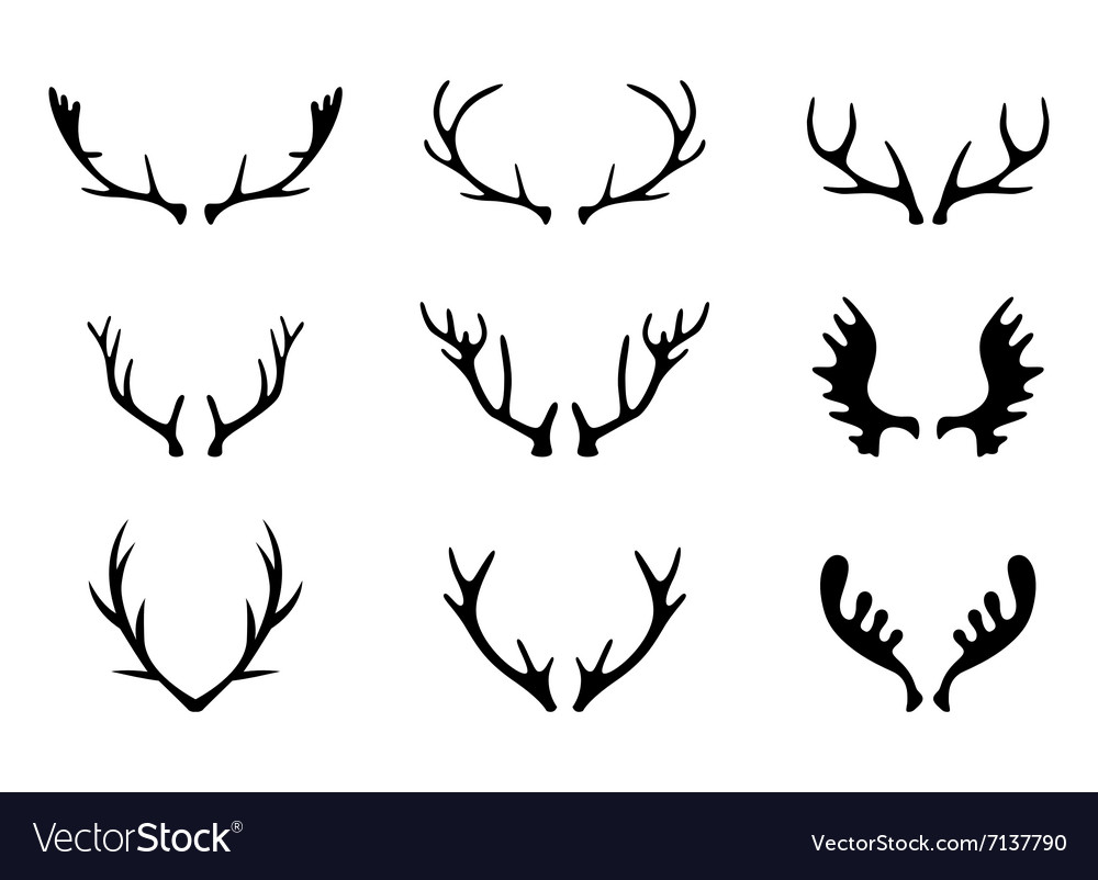 1000x802 huge collection of 'deer antlers drawing' download more than - Deer With Antlers Drawing