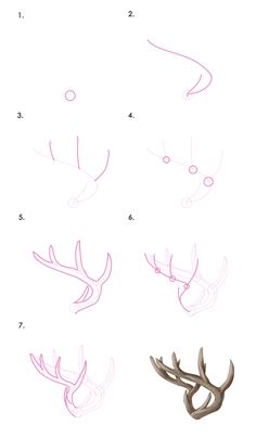 236x404 How To Draw Deer Step Sketches! Deer Drawing, Drawings, Art - Deer With Antlers Drawing