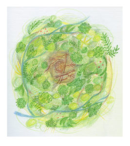 267x300 Deforestation In The Amazon - Deforestation Drawing