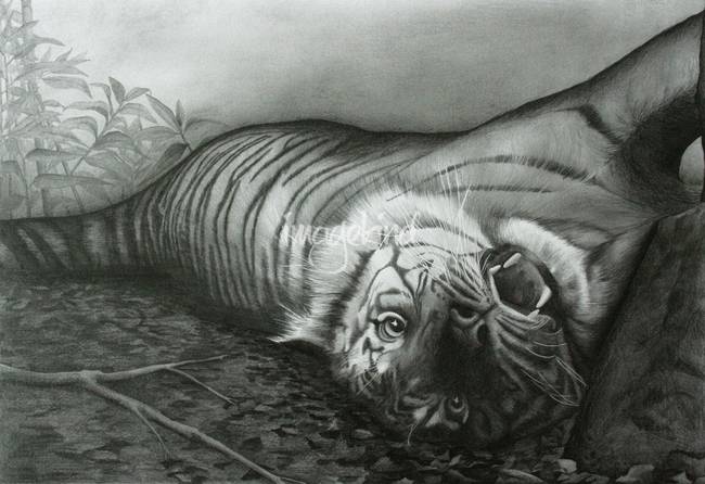 650x446 in a playing mood - Deforestation Drawing
