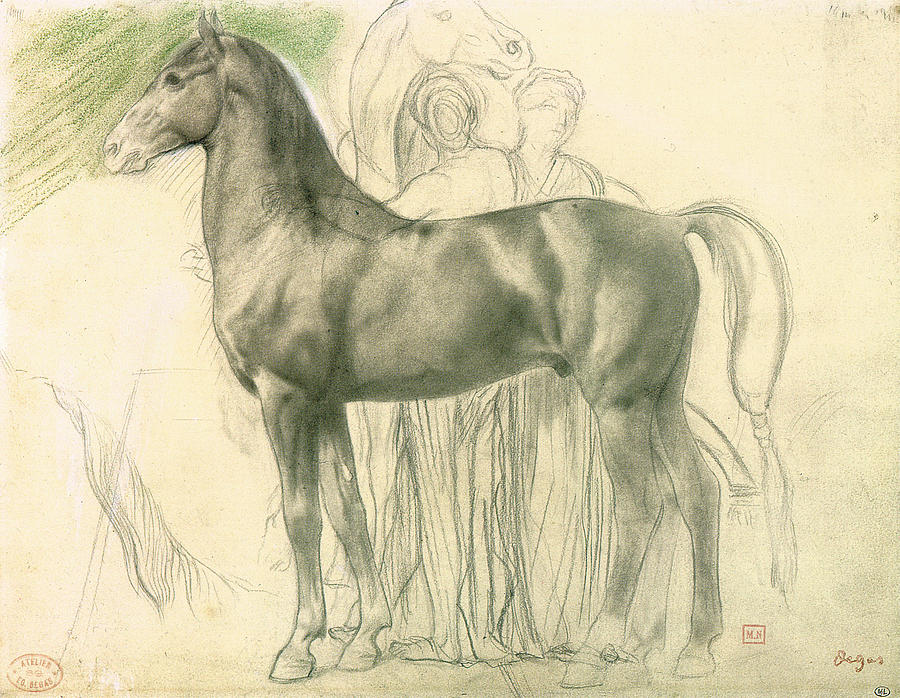 900x698 study of a horse with figures drawing - Degas Drawings