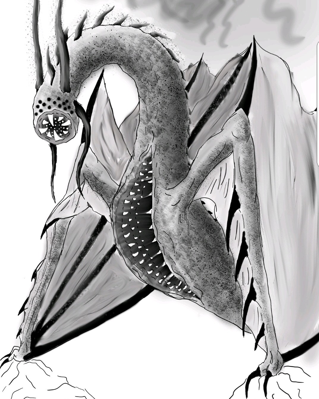 1073x1341 jesse kruijthof - Demon Dragon Drawing