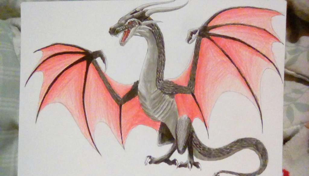 1024x583 Larko The Demon Dragon Dragons! Amino - Demon Dragon Drawing