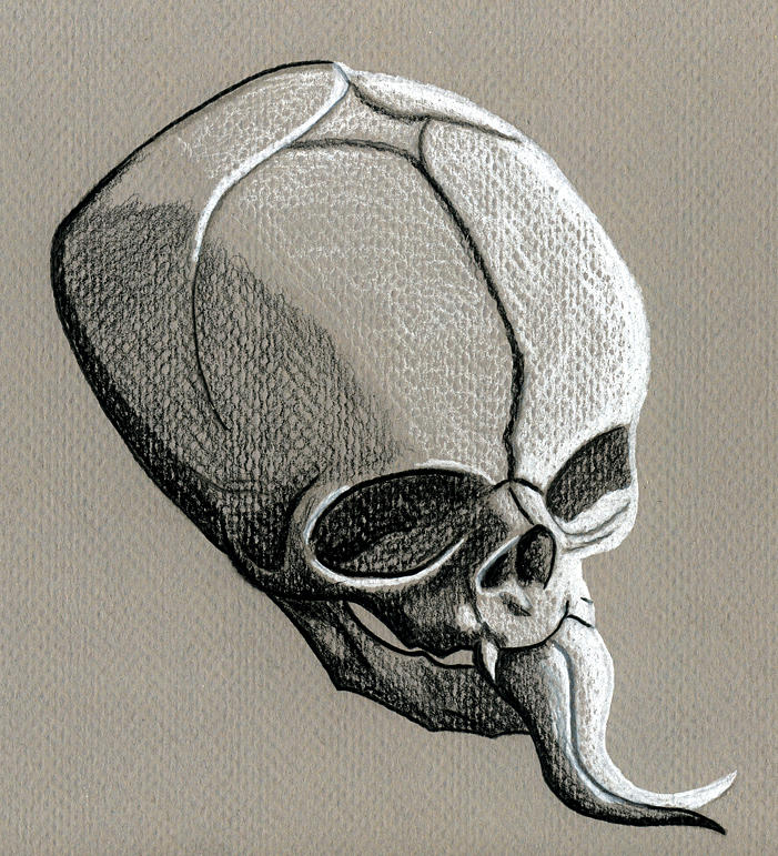 701x771 Demon Skull Drawing - Demon Skull Drawing