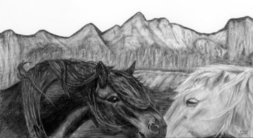 367x200 Drapak Ca - Depth Drawing