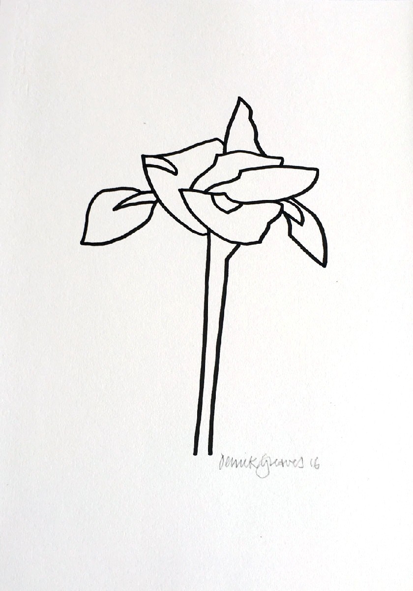 840x1200 Iris Drawing - Derrick Drawing