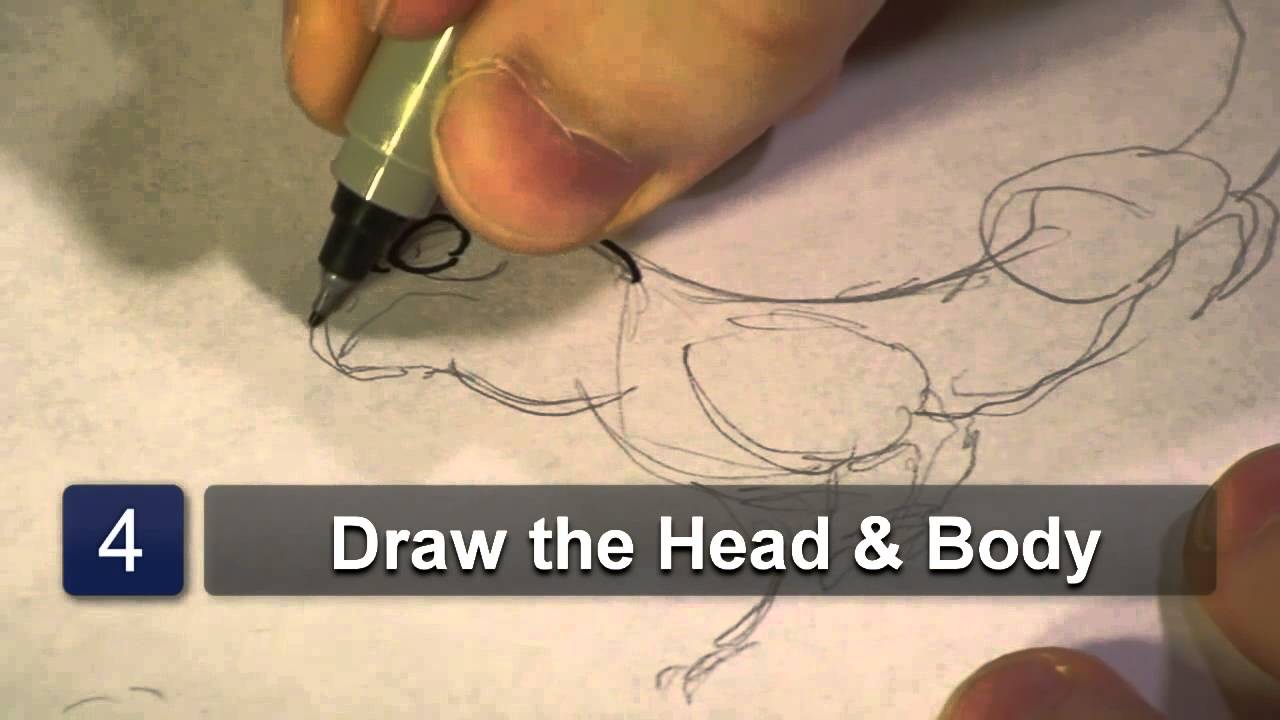 1280x720 How To Draw Desert Animals - Desert Animals Drawings