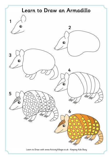 460x650 Learn To Draw An Armadillo Armadillo Drawings, Learn To Draw - Desert Animals Drawings