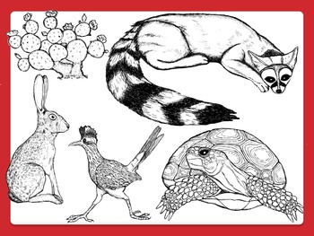 350x263 comercial clipart desert animals and plants in black and white tpt - Desert Animals Drawings