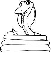 170x200 Desert - Desert Animals Drawings