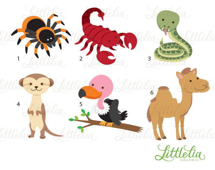 704x556 Desert Animals Clipart Great Free Clipart, Silhouette, Coloring - Desert Animals Drawings