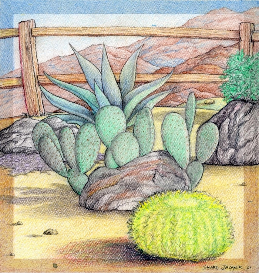854x900 Living Desert Drawing - Desert Drawing
