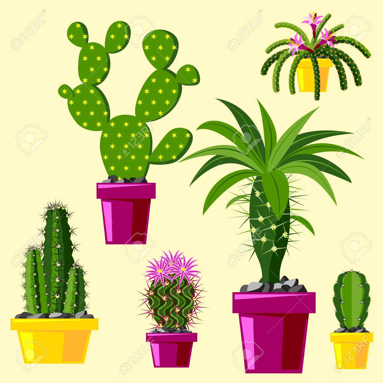 1300x1300 desert flower drawing cactus flat style nature desert flower green - Desert Drawing For Kids