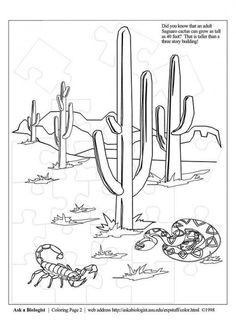 236x333 How To Draw Desert Plants - Desert Drawing For Kids