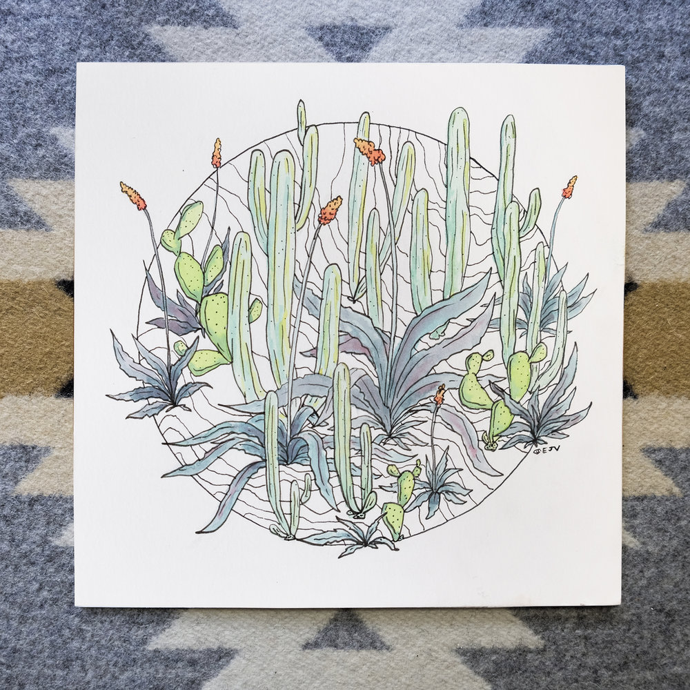 1000x1000 Desert Garden - Desert Drawing Pictures