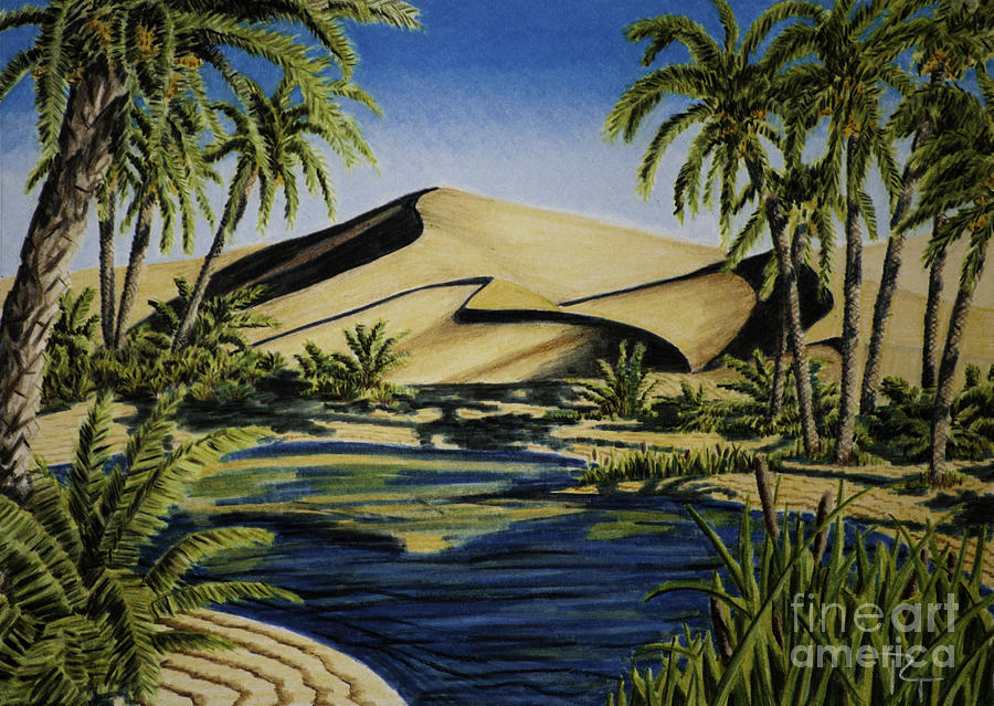 900x639 desert oasis drawing - Desert Drawing Pictures
