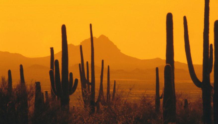 877x500 how to draw desert scenery our pastimes - Desert Drawing Pictures